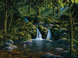 River Above Honokane Valley - Wishard Gallery