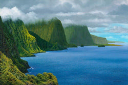 Sea Cliffs of Molokai - Wishard Gallery