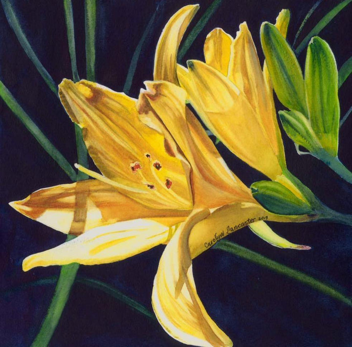 Penny's Day Lilies - Wishard Gallery